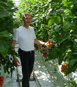 Friedrich Hermanns integrierter Tomatenanbau
