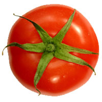 Teltower Rübchen Tomate